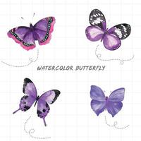 aquarelle papillon ensemble, violet, noir, blanc, rose, noir, violet, noir, vecteur