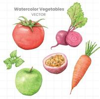 aquarelle des légumes ensemble, comprenant tomates, poivrons, et autre des légumes vecteur