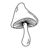 Facile vecteur griffonnage. esquisser dessin de forêt champignon. facile à changement couleur.