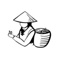 fille rassemblement thé dans une traditionnel vietnamien chapeau. récolte thé icône, pour étiquette ou emballage vecteur
