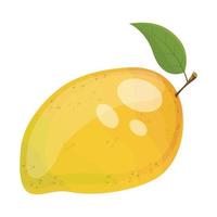 mangue, illustration vectorielle vecteur