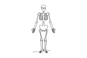 de face vue de une Humain squelette vecteur