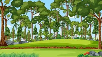 scène de forêt avec divers arbres forestiers vecteur