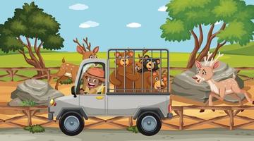scène de safari avec de nombreux ours dans une voiture-cage vecteur