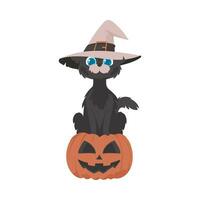 une marrant noir chat portant une sorcière chapeau est séance sur une citrouille. le Halloween thème est tout à propos effrayant et effrayant des choses cette sont en relation à Halloween. dessin animé style, vecteur illustration