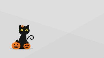 séance Halloween chat avec citrouille sur blanc Contexte avec copie espace pour texte vecteur