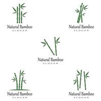 bambou logo modèle vecteur icône illustration design
