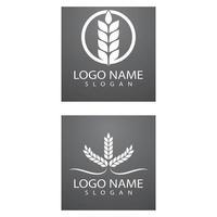 agriculture blé logo modèle vecteur icône design