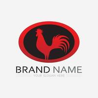 poulet logo coq et poule logo pour la volaille agriculture animal logo vecteur illustration conception