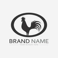 poulet logo coq et poule logo pour la volaille agriculture animal logo vecteur illustration conception