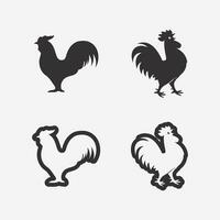 poulet logo coq et poule logo pour la volaille agriculture animal logo vecteur illustration conception