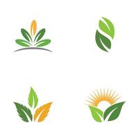 logos de l'écologie des feuilles d'arbre vert vecteur