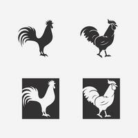 poulet logo coq et poule logo pour la volaille agriculture animal logo vecteur illustration conception