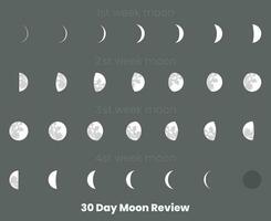 30 journée lune phases et lune calendrier vecteur