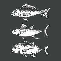 illustration de poisson vintage dessinés à la main vecteur