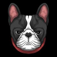 Tête de bouledogue français portant une illustration vectorielle de collier rouge vecteur