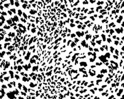 léopard sans couture modèle sans couture pour impression, Coupe autocollants, couverture, mur autocollants, Accueil décorer et plus. léopard noir taches sur une blanc Contexte classique conception. vecteur