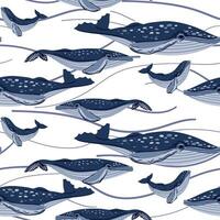 mignonne sans couture baleine modèle sur une bleu Contexte. le modèle répète une bleu et blanc Marin animal avec une famille. illustration de une à bosse baleine, papa, maman et bébé dessiné à la main. impression sur textiles vecteur