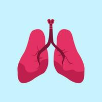 en bonne santé Humain poumons vecteur