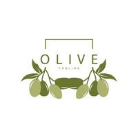 olive logo, vecteur conception prime modèle vecteur illustration