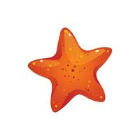 vecteur décoratif rouge étoile de mer vecteur illustration isolé sur blanc Marin animal mer étoile