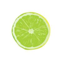 vecteur tranche mûr citron agrumes fruit sur une blanc