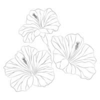 hibiscus tropical fleurs ensemble. vecteur botanique illustration, contour graphique dessin.
