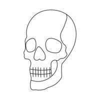 continu un ligne dessin de crâne contour vecteur art illustration
