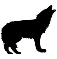 Loup noir silhouette vecteur illustration