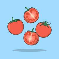 tomate dessin animé vecteur illustration. chute tranché tomate plat icône contour. en volant tomate
