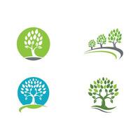 logos de l'écologie des feuilles d'arbre vert vecteur