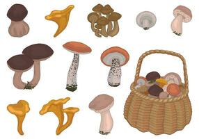 clipart ensemble de comestible champignons. griffonnages de l'automne forêt récolte. dessin animé vecteur des illustrations collection isolé sur blanc Contexte.