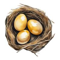 d'or des œufs dans le nid Haut vue isolé main tiré aquarelle La peinture illustration vecteur