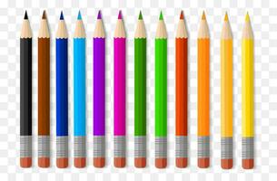 une ensemble de coloré des crayons, 12 couleurs. école marchandises, école fournitures, papeterie dans eps10 format. retour à école vecteur