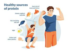 en bonne santé protéine la source infographies. deux Hommes sur une blanc Contexte sont Faire une entraînement. croissance et en bonne santé alimentaire. nourriture Icônes. typographie. plat vecteur illustration.