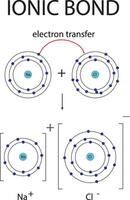 ionique collage diagramme pour chimie éducation vecteur