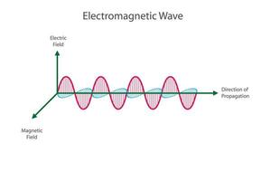électromagnétique vague vecteur