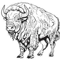 adulte coloration page de une bison vecteur