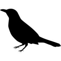 oiseau noir silhouette vecteur illustration