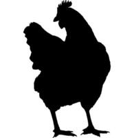 poulet noir silhouette vecteur illustration