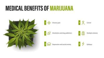 avantages médicaux de la marijuana, affiche blanche avec infographie et buisson de cannabis dans un pot. avantages utilisations de la marijuana médicale vecteur