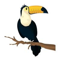 icône animal exotique oiseau toucan vecteur