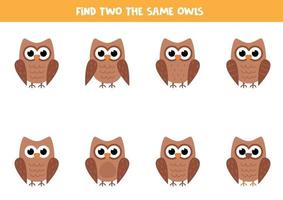 puzzle logique pour les enfants. trouver deux chouettes identiques. vecteur