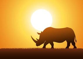 rhinocéros contre fond coucher de soleil vecteur