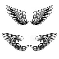 illustration d'ailes isolées pour l'insigne de logo et la marque vecteur