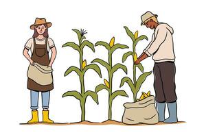 agriculteur travail sur le champ collecte sucré blé de végétaux, agriculture et agriculture. croissance les plantes pour cultures, champ de blé avec mûr des produits vecteur