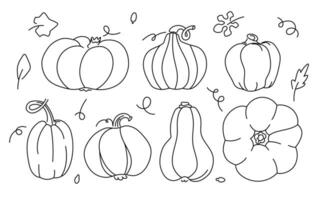 citrouilles griffonnage illustration ensemble. contour ligne noir et blanc dessin de différents décoratif citrouilles et l'automne feuilles vecteur