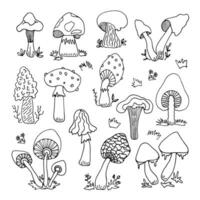 ensemble sauvage champignons, spore organisme. mycologie. toxique, champignons, différent les types de champignons. plante. mystique champignons. griffonnage. tiré par main. vecteur illustration. contour.