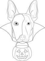 Halloween salutation carte pour coloration. Belge berger malinois chien avec une blanc moitié masque plus de le sien affronter, noir cap et une citrouille dans le bouche vecteur