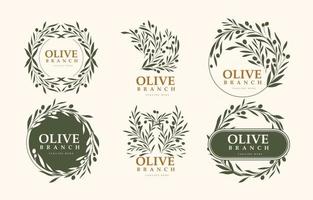 logo olive au design minimaliste de couleur verte vecteur